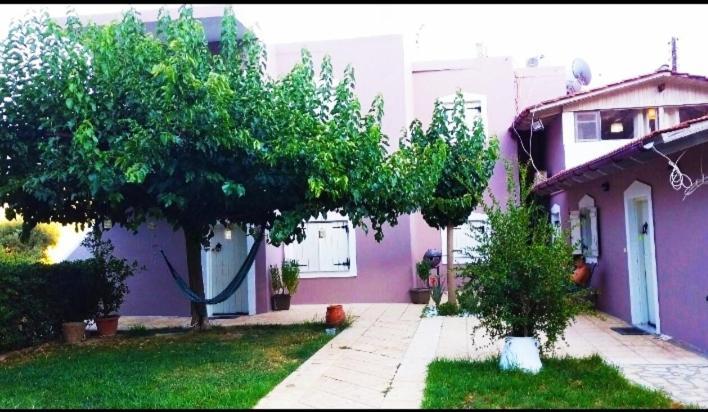 "Villa Kanavos" Apts Matala  Exterior photo
